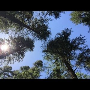 Meet your Posher, Isabella